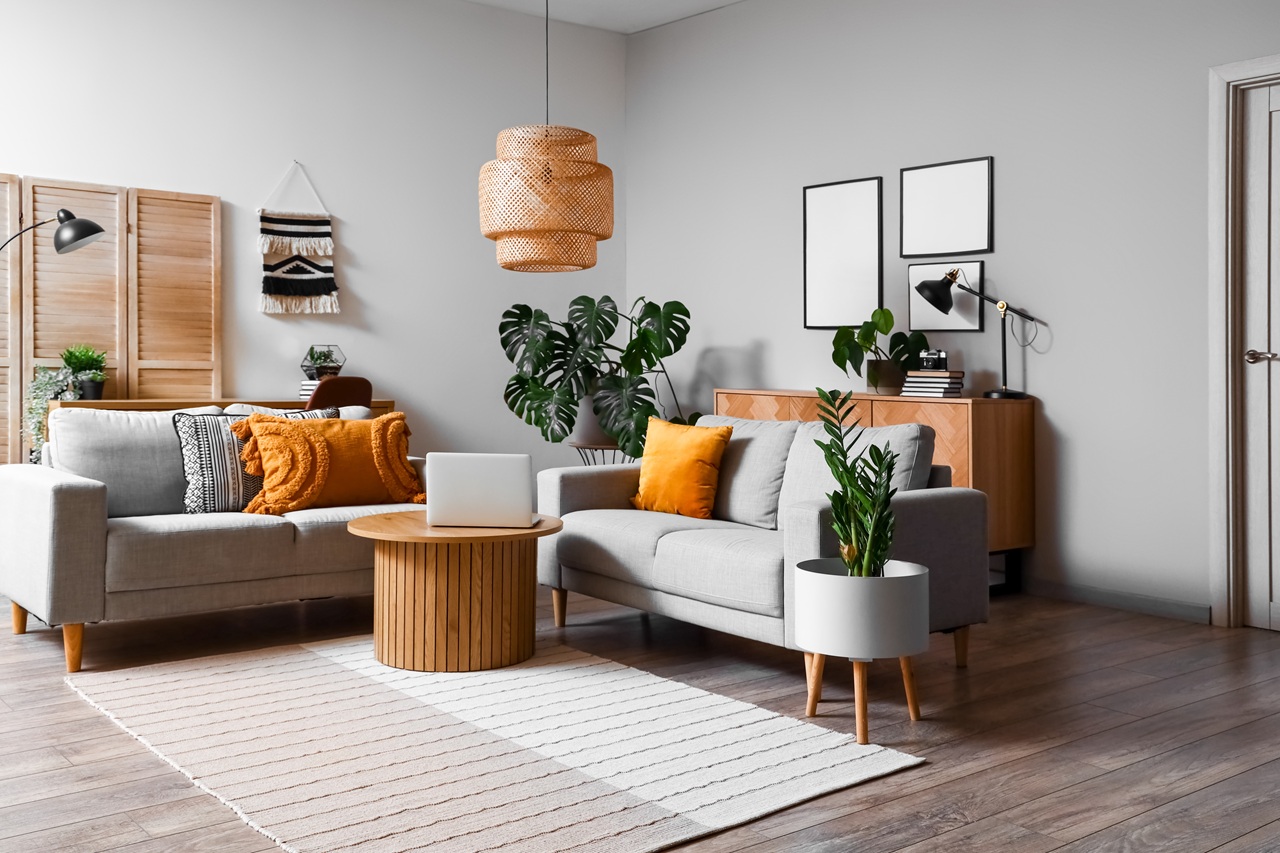 Sala con dos sofás y plantas – espacio acogedor en hogar en venta por divorcio en California